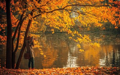 5 Tips for a Budget-Friendly Fall
